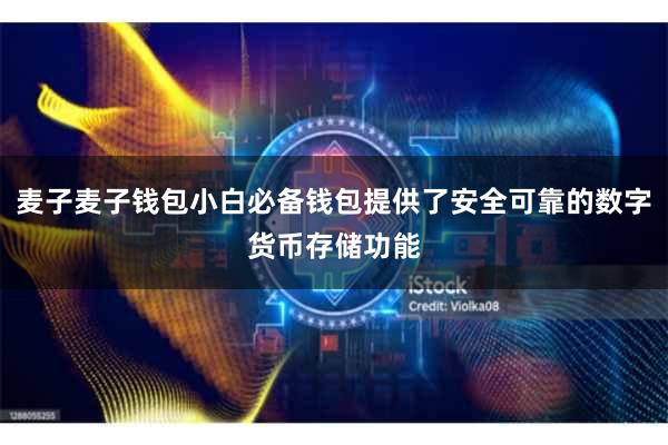 麦子麦子钱包小白必备钱包提供了安全可靠的数字货币存储功能