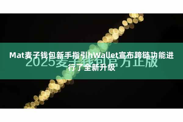 Mat麦子钱包新手指引hWallet宣布跨链功能进行了全新升级