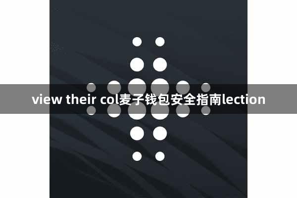 view their col麦子钱包安全指南lection