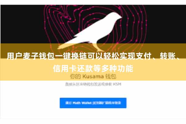 用户麦子钱包一键换链可以轻松实现支付、转账、信用卡还款等多种功能