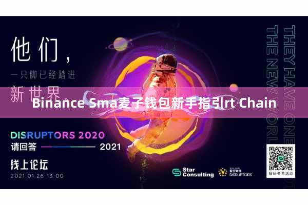 Binance Sma麦子钱包新手指引rt Chain