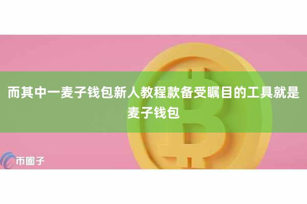 而其中一麦子钱包新人教程款备受瞩目的工具就是麦子钱包