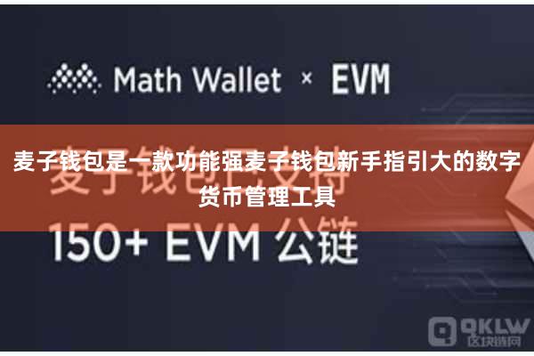 麦子钱包是一款功能强麦子钱包新手指引大的数字货币管理工具