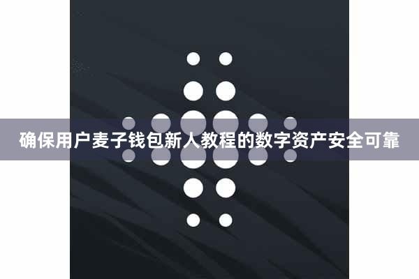 确保用户麦子钱包新人教程的数字资产安全可靠
