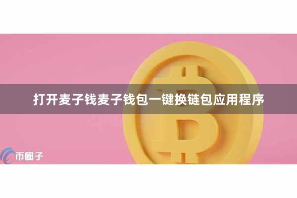 打开麦子钱麦子钱包一键换链包应用程序