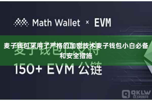 麦子钱包采用了严格的加密技术麦子钱包小白必备和安全措施