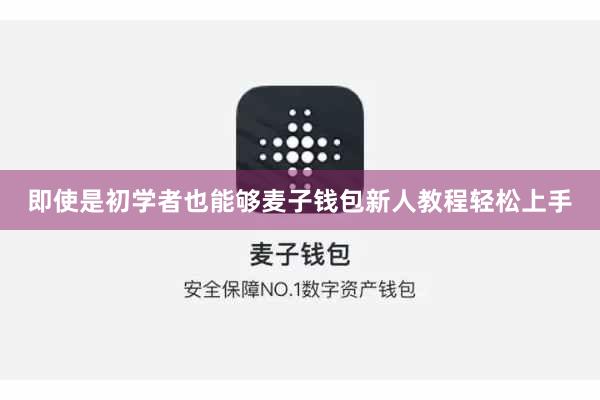 即使是初学者也能够麦子钱包新人教程轻松上手
