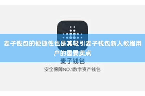 麦子钱包的便捷性也是其吸引麦子钱包新人教程用户的重要卖点