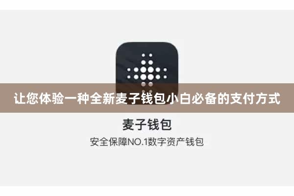让您体验一种全新麦子钱包小白必备的支付方式