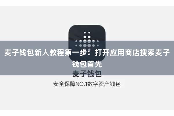 麦子钱包新人教程第一步：打开应用商店搜索麦子钱包首先