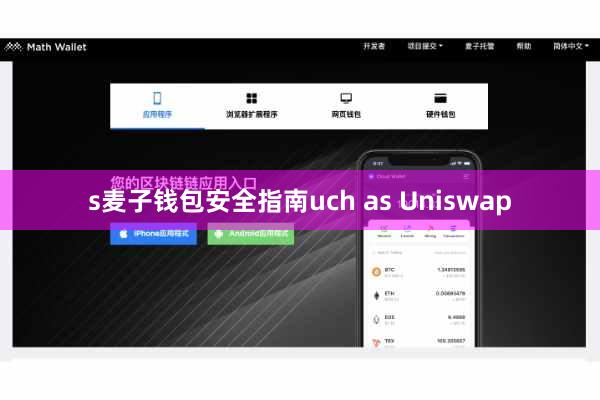 s麦子钱包安全指南uch as Uniswap