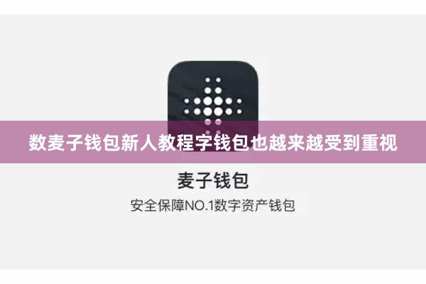 数麦子钱包新人教程字钱包也越来越受到重视
