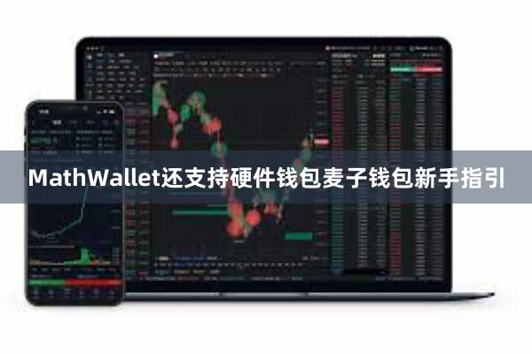 MathWallet还支持硬件钱包麦子钱包新手指引