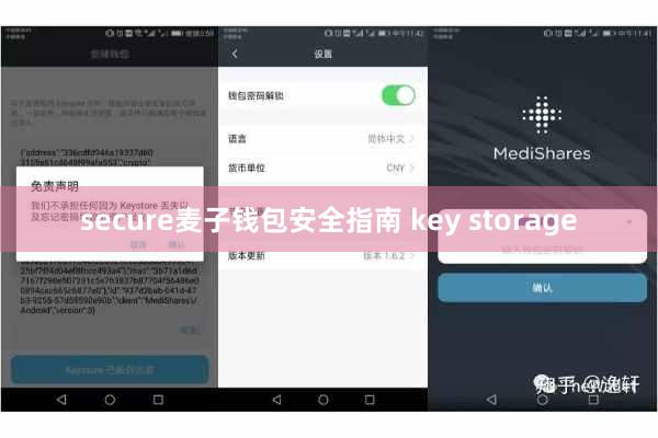 secure麦子钱包安全指南 key storage