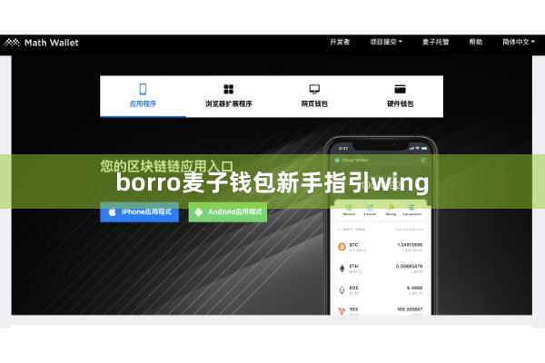 borro麦子钱包新手指引wing