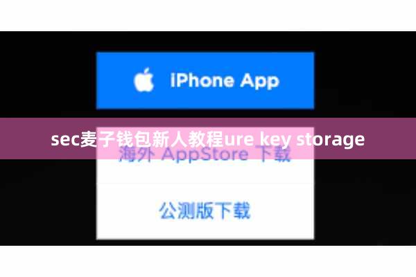 sec麦子钱包新人教程ure key storage