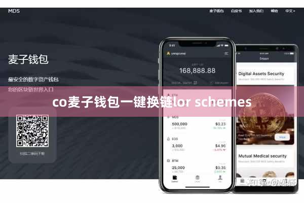 co麦子钱包一键换链lor schemes