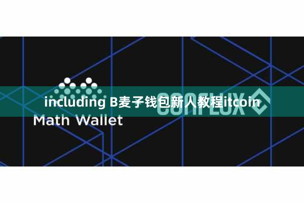 including B麦子钱包新人教程itcoin