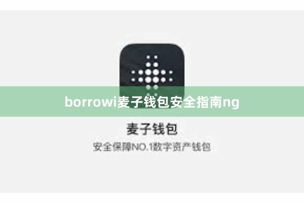 borrowi麦子钱包安全指南ng