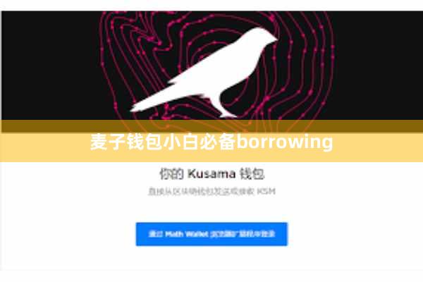 麦子钱包小白必备borrowing