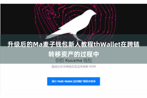 升级后的Ma麦子钱包新人教程thWallet在跨链转移资产的过程中