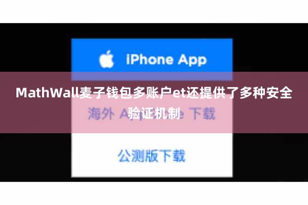 MathWall麦子钱包多账户et还提供了多种安全验证机制