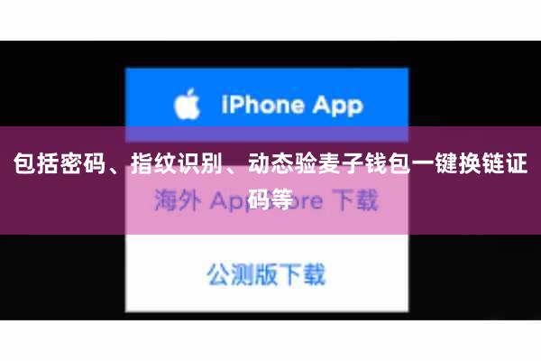 包括密码、指纹识别、动态验麦子钱包一键换链证码等