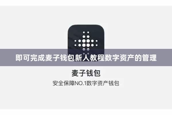 即可完成麦子钱包新人教程数字资产的管理