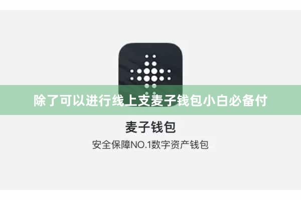 除了可以进行线上支麦子钱包小白必备付