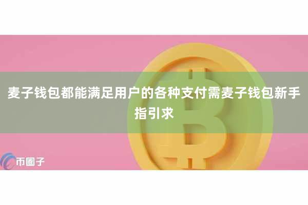 麦子钱包都能满足用户的各种支付需麦子钱包新手指引求