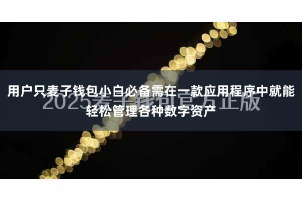 用户只麦子钱包小白必备需在一款应用程序中就能轻松管理各种数字资产