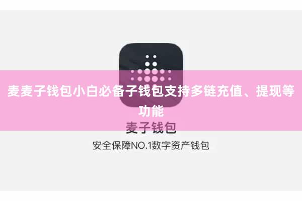 麦麦子钱包小白必备子钱包支持多链充值、提现等功能