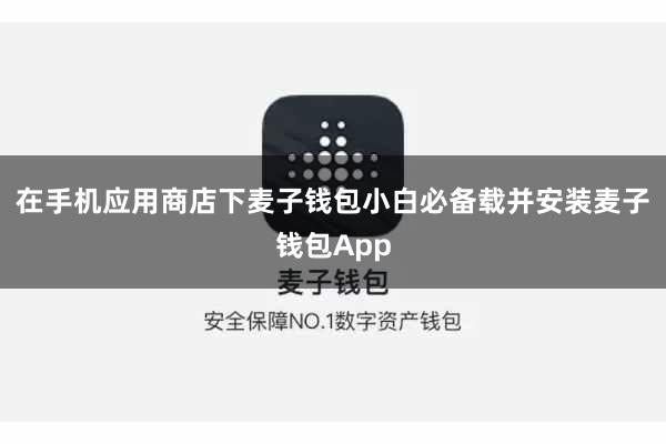 在手机应用商店下麦子钱包小白必备载并安装麦子钱包App