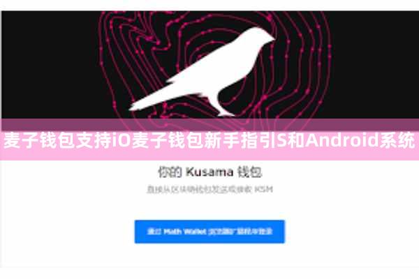 麦子钱包支持iO麦子钱包新手指引S和Android系统