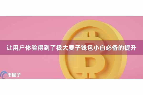 让用户体验得到了极大麦子钱包小白必备的提升