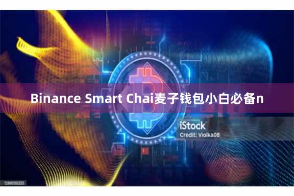 Binance Smart Chai麦子钱包小白必备n