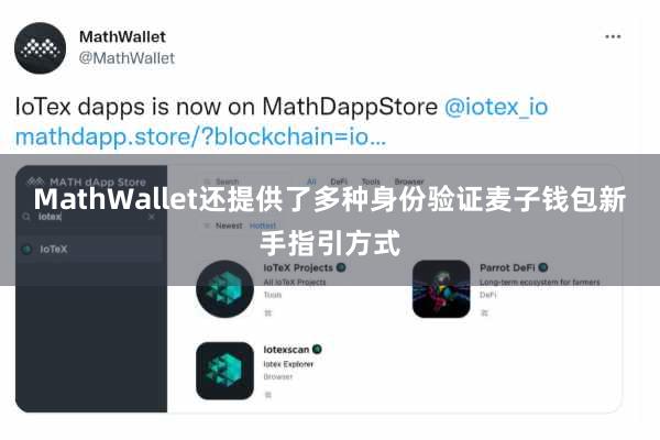 MathWallet还提供了多种身份验证麦子钱包新手指引方式