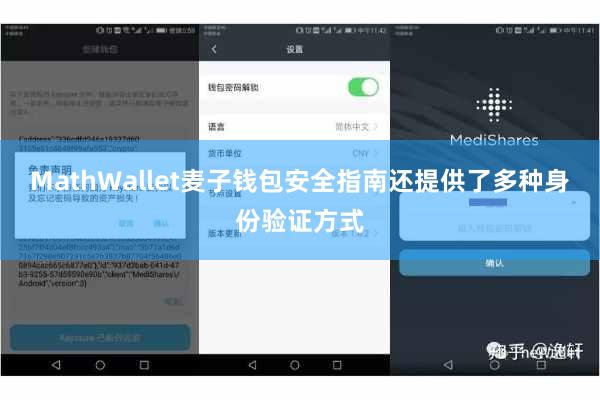 MathWallet麦子钱包安全指南还提供了多种身份验证方式