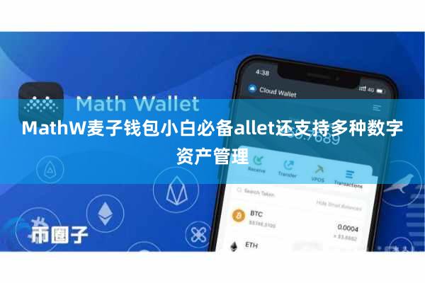 MathW麦子钱包小白必备allet还支持多种数字资产管理