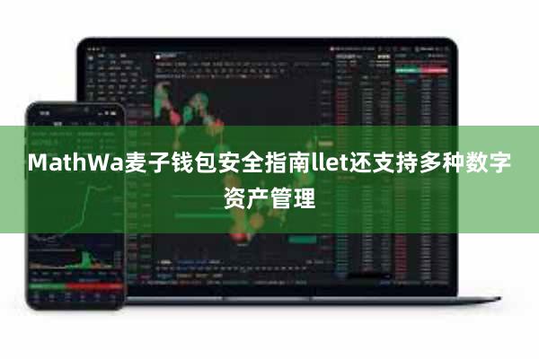 MathWa麦子钱包安全指南llet还支持多种数字资产管理